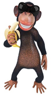 data monkey